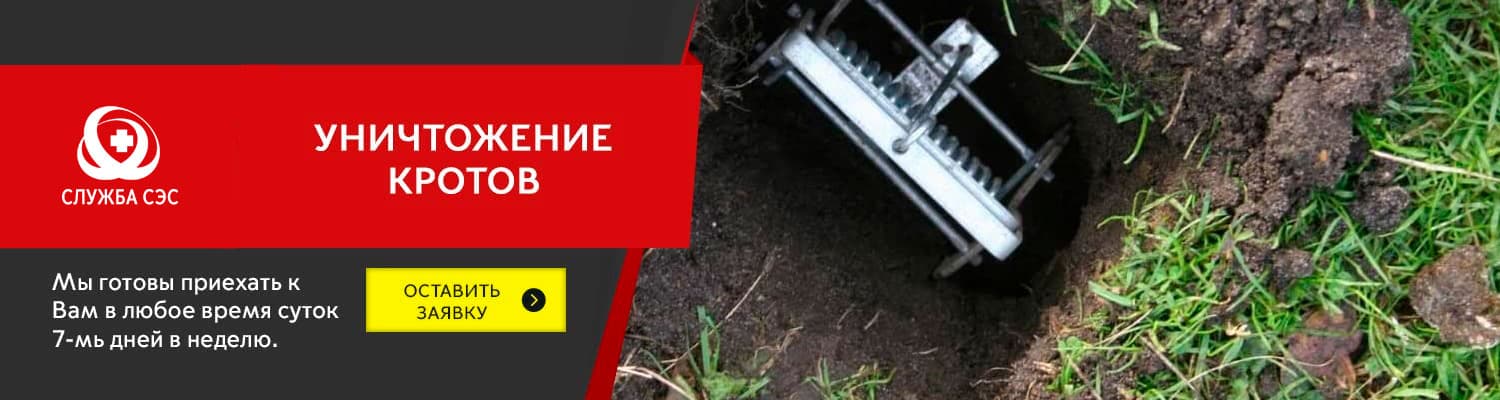 Уничтожение кротов в Жуковском